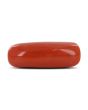 Red Coral (Moonga) - 5.23 Carat 