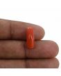 Red Coral (Moonga) - 5.23 Carat 