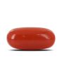 Red Coral (Moonga) - 5.34 Carat 