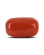 Red Coral (Moonga) - 6.64 Carat 