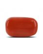 Red Coral (Moonga) - 6.64 Carat 