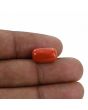 Red Coral (Moonga) - 6.64 Carat 