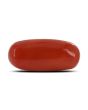 Red Coral (Moonga) - 7.12 Carat 