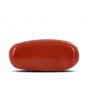 Red Coral (Moonga) - 7.12 Carat 