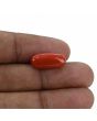 Red Coral (Moonga) - 7.12 Carat 