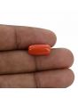 Red Coral (Moonga) - 6.41 Carat 