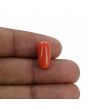 Red Coral (Moonga) - 6.41 Carat 