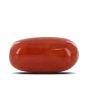 Red Coral (Moonga) - 6.78 Carat 