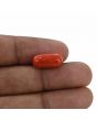 Red Coral (Moonga) - 6.78 Carat 