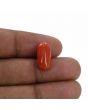 Red Coral (Moonga) - 6.78 Carat 