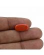 Red Coral (Moonga) - 6.78 Carat 