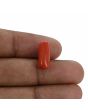 Red Coral (Moonga) - 6 Carat 