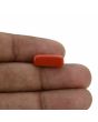 Red Coral (Moonga) - 6 Carat 