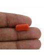 Red Coral (Moonga) - 5.42 Carat 
