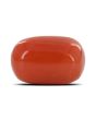Red Coral (Moonga) - 5.36 Carat 