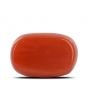 Red Coral (Moonga) - 5.36 Carat 