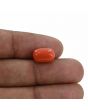 Red Coral (Moonga) - 5.36 Carat 