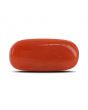 Red Coral (Moonga) - 6.56 Carat 