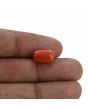 Red Coral (Moonga) - 6.13 Carat 