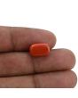 Red Coral (Moonga) - 6.13 Carat 