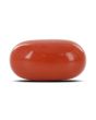 Red Coral (Moonga) - 5.37 Carat 