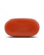 Red Coral (Moonga) - 5.37 Carat 