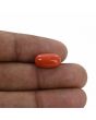 Red Coral (Moonga) - 5.37 Carat 