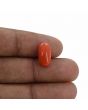 Red Coral (Moonga) - 5.37 Carat 