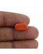 Red Coral (Moonga) - 5.37 Carat 