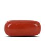Red Coral (Moonga) - 6.97 Carat 