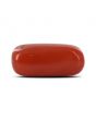Red Coral (Moonga) - 6.97 Carat 