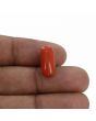 Red Coral (Moonga) - 6.97 Carat 