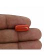 Red Coral (Moonga) - 6.97 Carat 