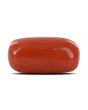 Red Coral (Moonga) - 6.15 Carat 