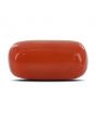 Red Coral (Moonga) - 6.15 Carat 