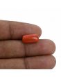 Red Coral (Moonga) - 6.15 Carat 