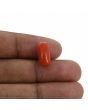 Red Coral (Moonga) - 6.15 Carat 
