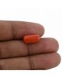 Red Coral (Moonga) - 6.15 Carat 