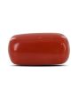 Red Coral (Moonga) - 5.38 Carat 