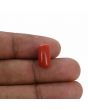 Red Coral (Moonga) - 5.38 Carat 