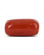Red Coral (Moonga) - 7 Carat 