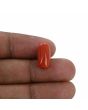 Red Coral (Moonga) - 7 Carat 