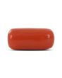 Red Coral (Moonga) - 5.5 Carat 