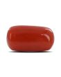 Red Coral (Moonga) - 5.28 Carat 