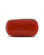 Red Coral (Moonga) - 5.28 Carat 