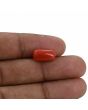 Red Coral (Moonga) - 5.28 Carat 