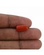 Red Coral (Moonga) - 5.28 Carat 