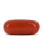 Red Coral (Moonga) - 5.48 Carat 