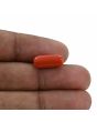 Red Coral (Moonga) - 5.48 Carat 