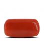 Red Coral (Moonga) - 4.34 Carat 